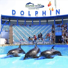 Dolphinarium din Hurghada