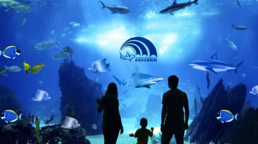 Grand aquarium