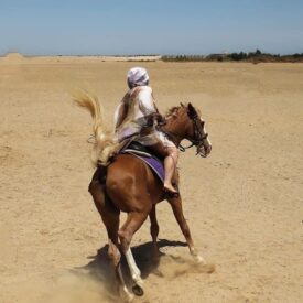 Călărie în deșert din Hurghada