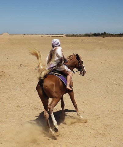 Călărie în deșert din Hurghada