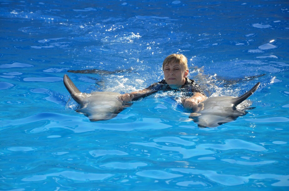 Înoată cu delfinii din Hurghada