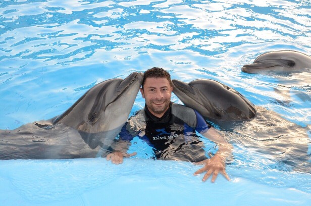 Înoată cu delfinii din Hurghada